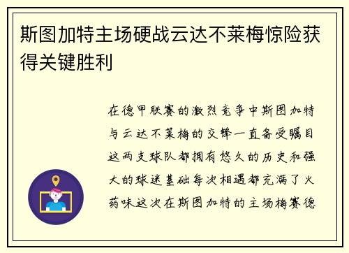 斯图加特主场硬战云达不莱梅惊险获得关键胜利