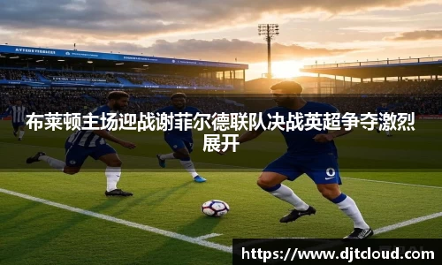 智博19