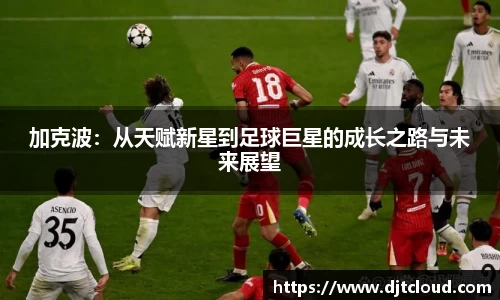 智博19有限公司