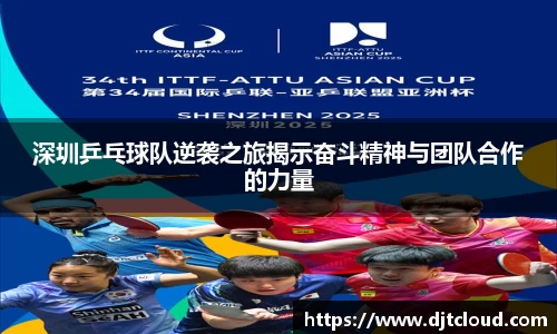 智博19有限公司